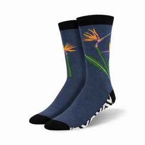 Birds Of Paradise