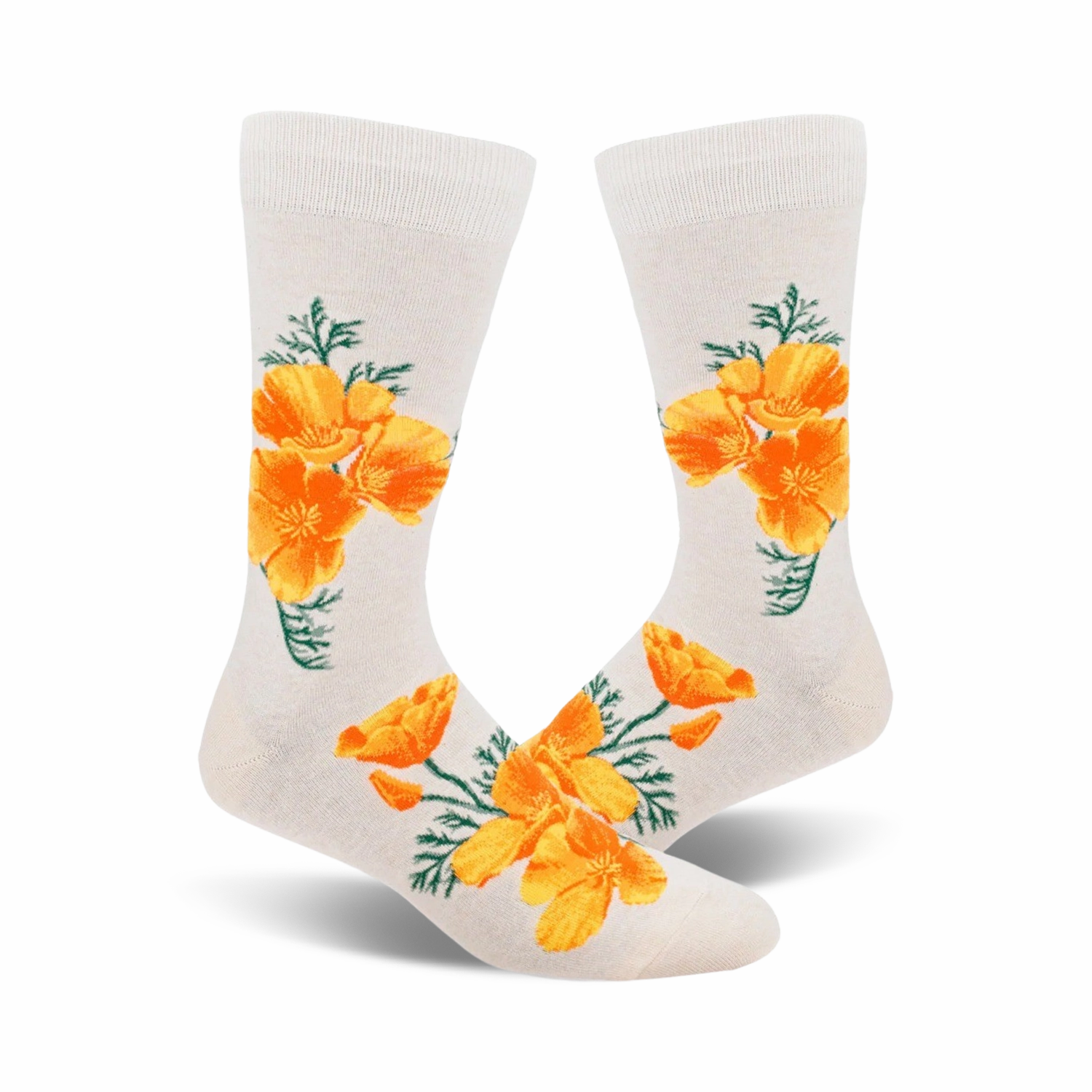 California Poppy