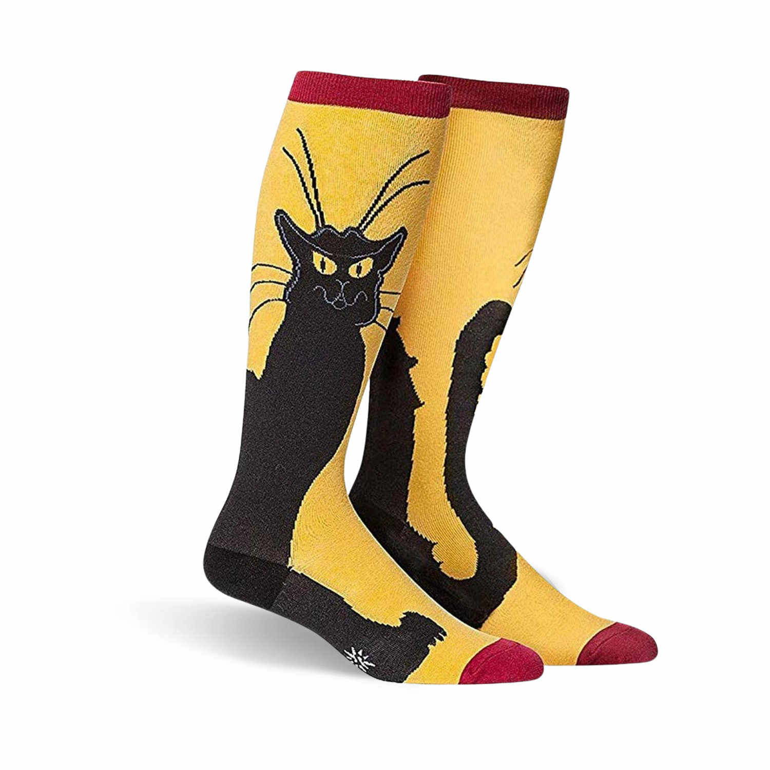 Chat Noir