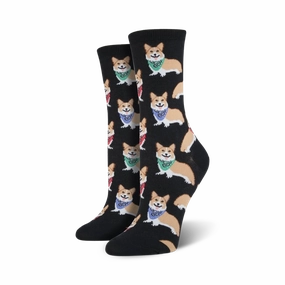 Corgi