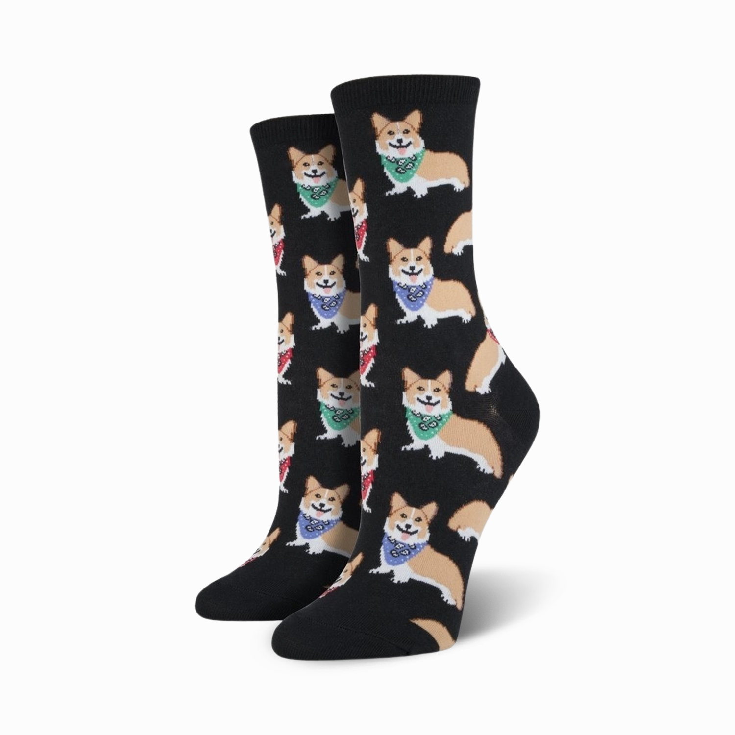 Corgi
