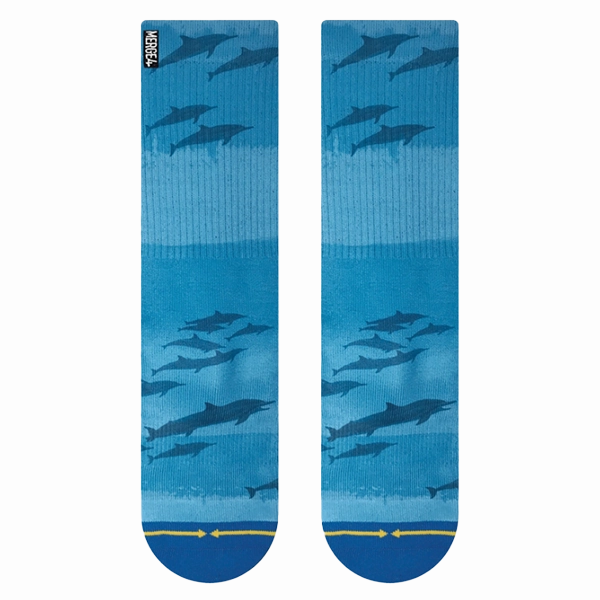 Dave Nelson Dolphins
