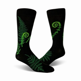 Ferns & Fiddleheads