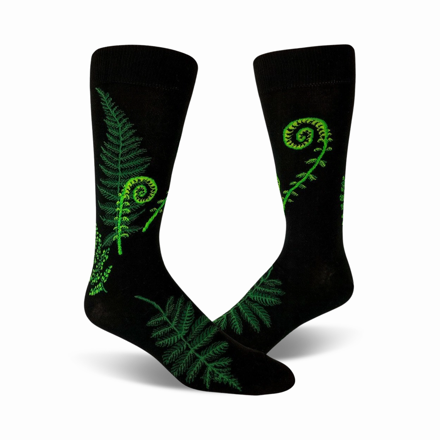 Ferns & Fiddleheads