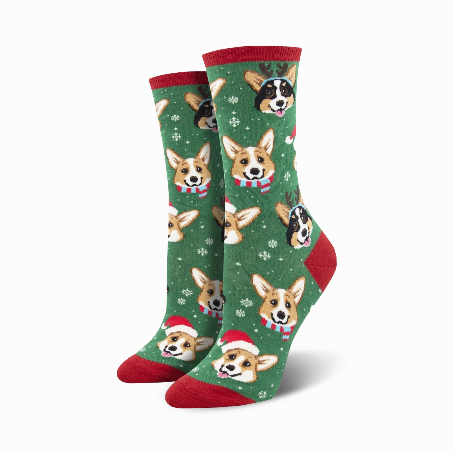 Happy Pawlidays