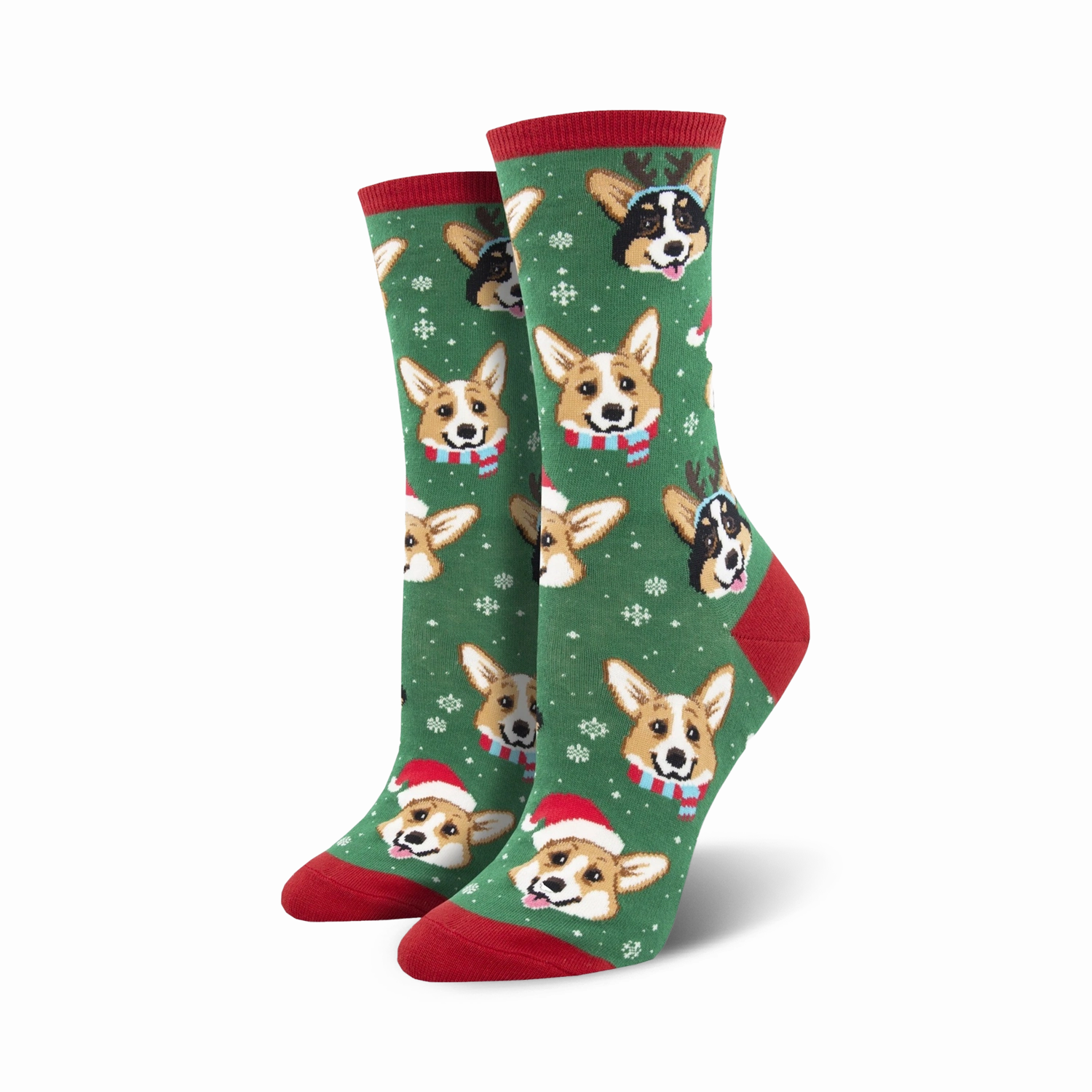 Happy Pawlidays