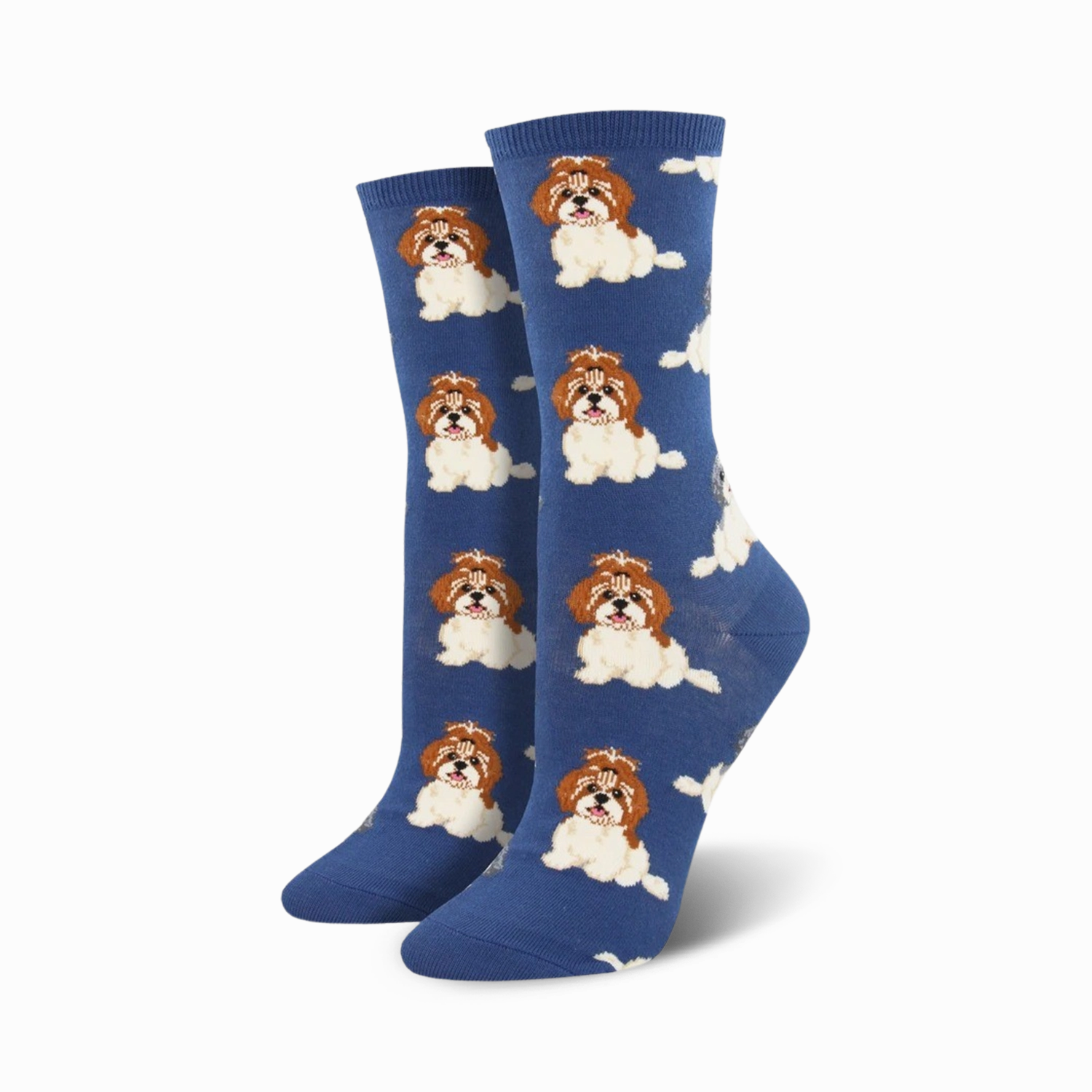I Shih Tzu Not