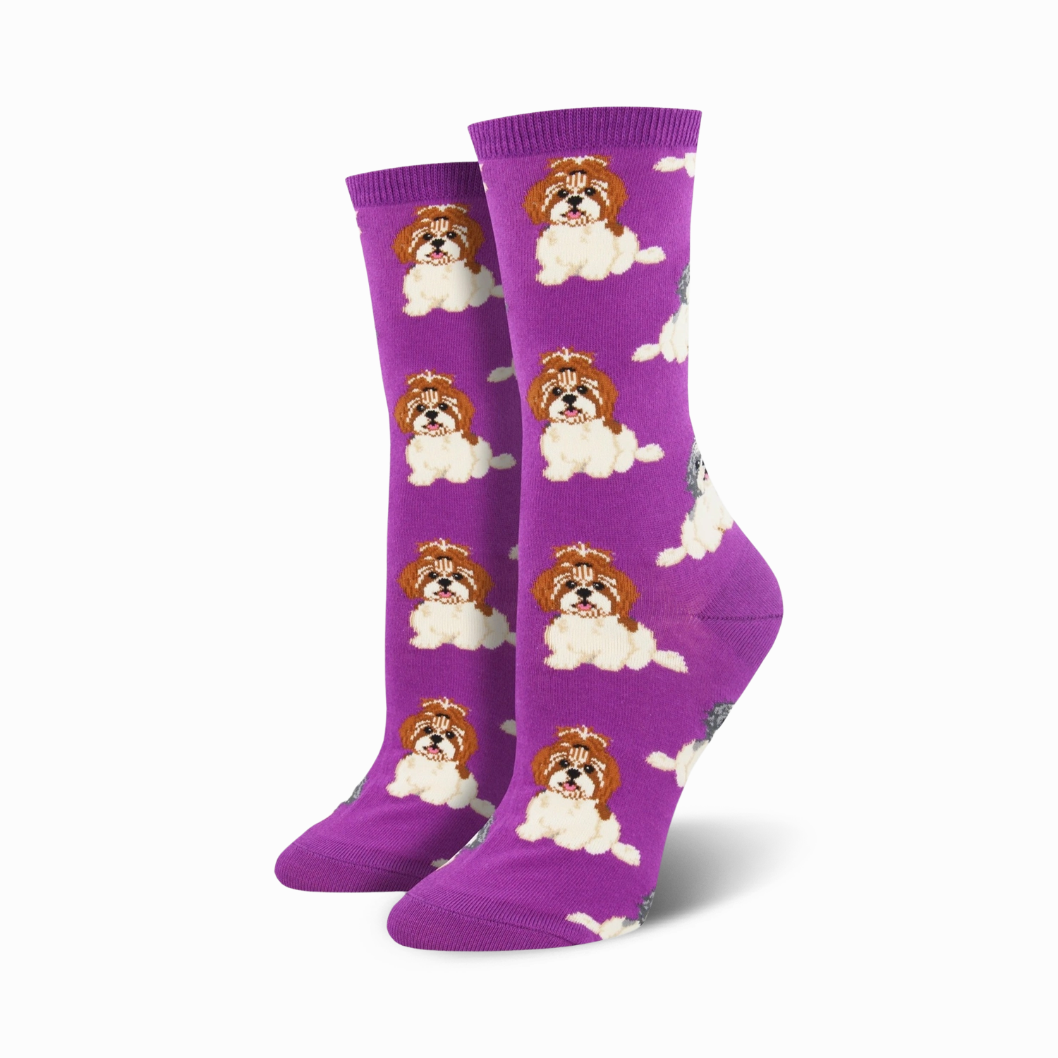 I Shih Tzu Not