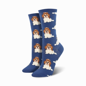 I Shih Tzu Not