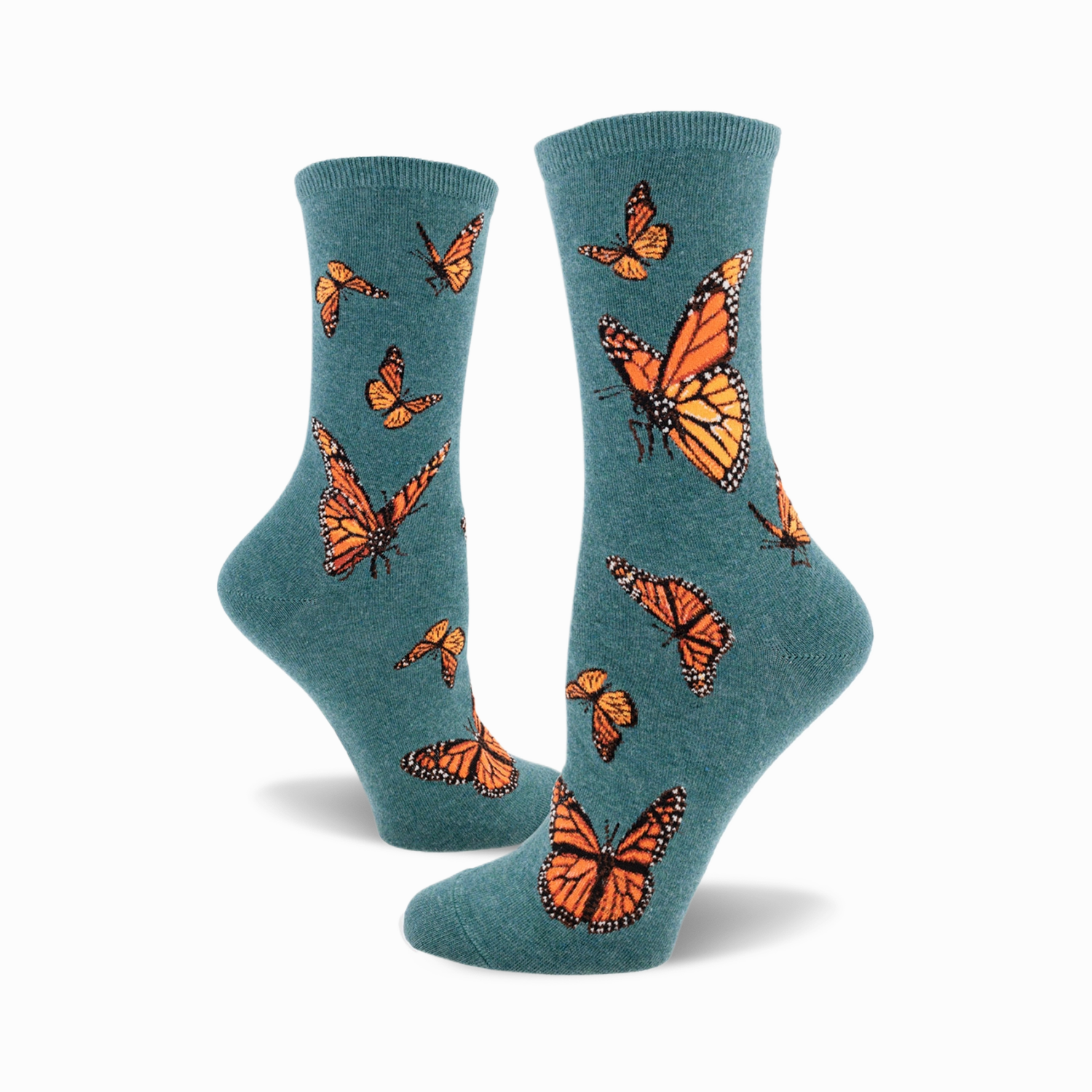 Monarch Butterfly