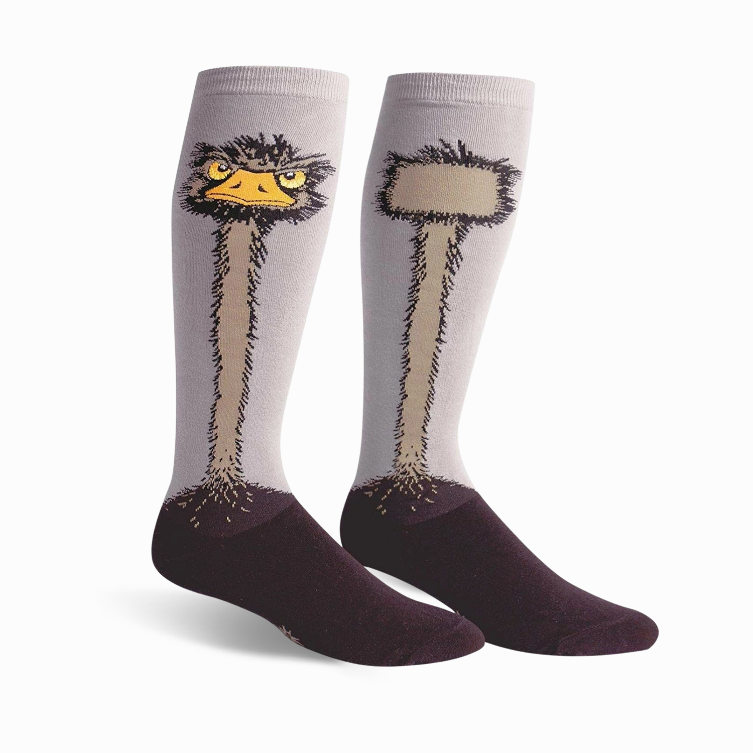 Ostrich