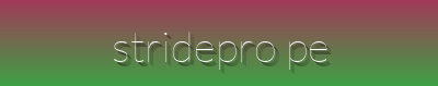 "Elite Performance Socks - StridePro Delivers Competition-Grade Support & Comfort"